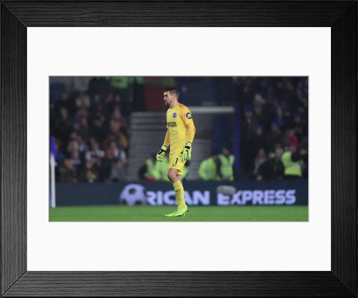 Framed Print : Brighton and Hove Albion vs Leicester City: Premier League Showdown at American Express Community Stadium (November 2018) Framed Print : Brighton and Hove Albion vs Leicester City: Premier League Showdown at American Express Community Stadium (November 2018)