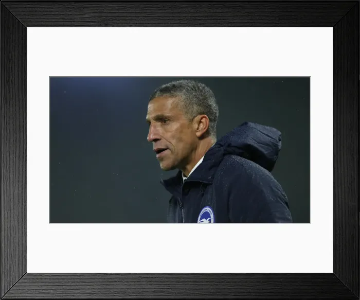 Framed Print : Brighton and Hove Albion vs Leicester City: Premier League Showdown at American Express Community Stadium (November 2018) Framed Print : Brighton and Hove Albion vs Leicester City: Premier League Showdown at American Express Community Stadium (November 2018)