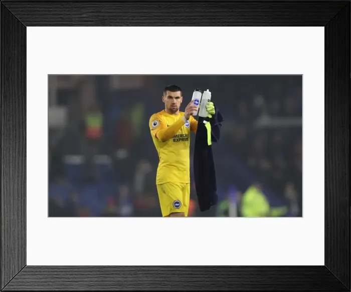 Framed Print : Brighton and Hove Albion vs Leicester City: Premier League Showdown at American Express Community Stadium (November 2018)