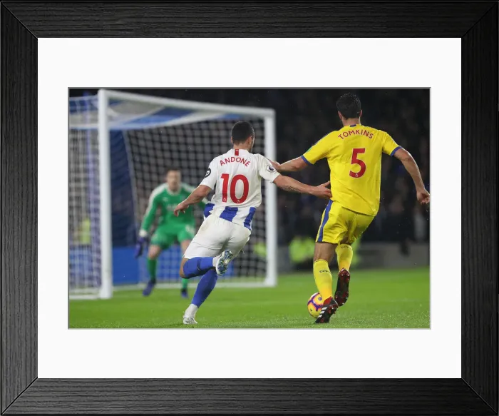 Framed Print : Premier League Showdown: Brighton & Hove Albion vs. Crystal Palace (04DEC18) - American Express Community Stadium Framed Print : Premier League Showdown: Brighton & Hove Albion vs. Crystal Palace (04DEC18) - American Express Community Stadium