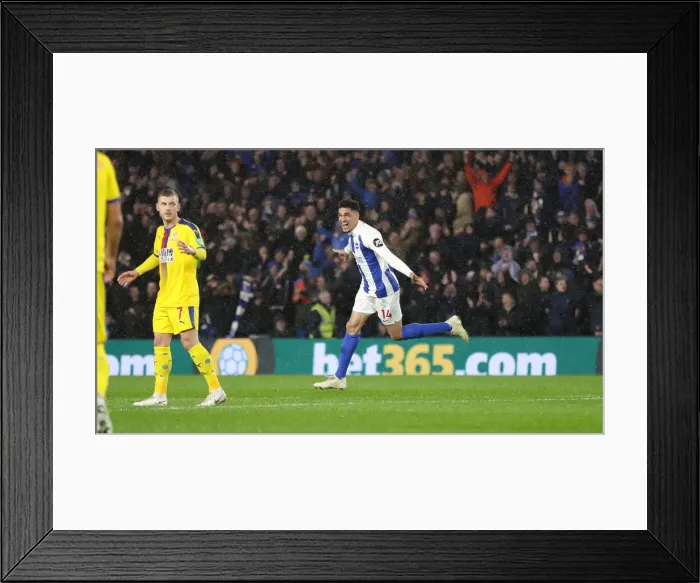 Framed Print : Brighton and Hove Albion vs. Crystal Palace: A Premier League Battle at American Express Community Stadium (December 4, 2018) Framed Print : Brighton and Hove Albion vs. Crystal Palace: A Premier League Battle at American Express Community Stadium (December 4, 2018)