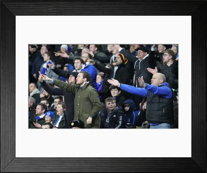 Framed Print : Decisive Clash: Brighton & Hove Albion vs. Crystal Palace (04DEC18) - Premier League Rivalry at the American Express Community Stadium Framed Print : Decisive Clash: Brighton & Hove Albion vs. Crystal Palace (04DEC18) - Premier League Rivalry at the American Express Community Stadium