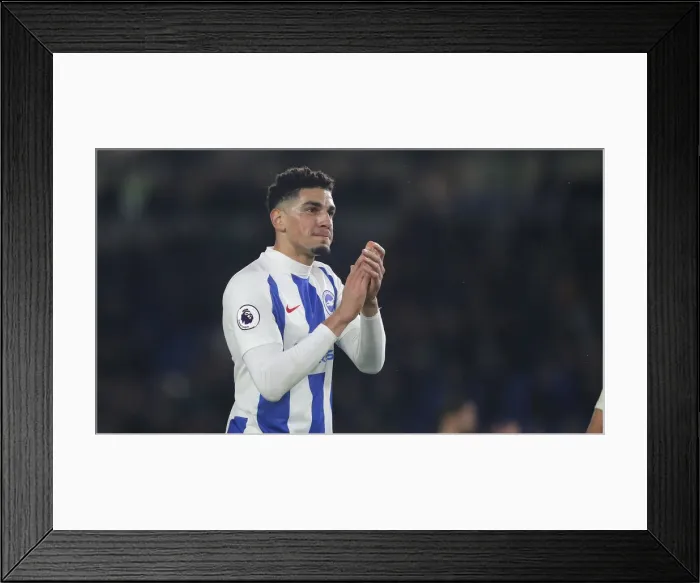 Framed Print : Brighton and Hove Albion vs. Crystal Palace: A Premier League Showdown at American Express Community Stadium (04DEC18) Framed Print : Brighton and Hove Albion vs. Crystal Palace: A Premier League Showdown at American Express Community Stadium (04DEC18)