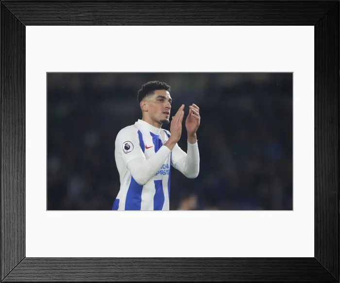 Framed Print : Brighton and Hove Albion vs. Crystal Palace: A Premier League Showdown at American Express Community Stadium (December 4, 2018) Framed Print : Brighton and Hove Albion vs. Crystal Palace: A Premier League Showdown at American Express Community Stadium (December 4, 2018)