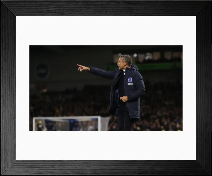 Framed Print : Brighton and Hove Albion vs. Crystal Palace: A Premier League Showdown at American Express Community Stadium (December 4, 2018) Framed Print : Brighton and Hove Albion vs. Crystal Palace: A Premier League Showdown at American Express Community Stadium (December 4, 2018)