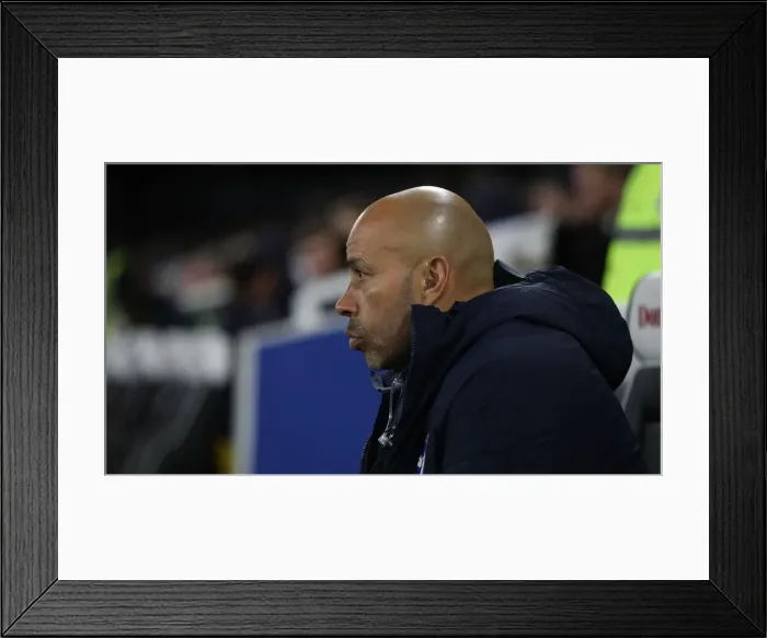 Framed Print : Brighton and Hove Albion vs. Crystal Palace: A Premier League Showdown at American Express Community Stadium (December 4, 2018) Framed Print : Brighton and Hove Albion vs. Crystal Palace: A Premier League Showdown at American Express Community Stadium (December 4, 2018)