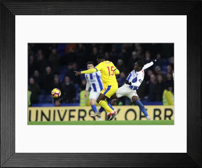 Framed Print : Brighton and Hove Albion vs. Crystal Palace: A Premier League Battle at American Express Community Stadium (December 4, 2018) Framed Print : Brighton and Hove Albion vs. Crystal Palace: A Premier League Battle at American Express Community Stadium (December 4, 2018)