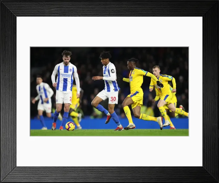 Framed Print : Brighton and Hove Albion vs. Crystal Palace: A Premier League Showdown at American Express Community Stadium (December 4, 2018) Framed Print : Brighton and Hove Albion vs. Crystal Palace: A Premier League Showdown at American Express Community Stadium (December 4, 2018)