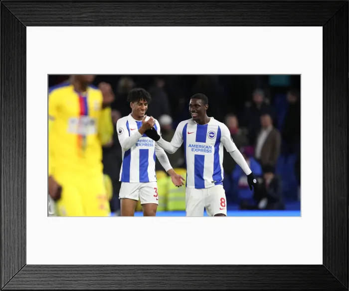 Framed Print : Premier League Showdown: Brighton & Hove Albion vs. Crystal Palace (04DEC18) - American Express Community Stadium Framed Print : Premier League Showdown: Brighton & Hove Albion vs. Crystal Palace (04DEC18) - American Express Community Stadium