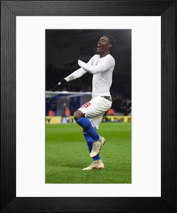 Framed Print : Brighton and Hove Albion vs. Crystal Palace: A Premier League Battle at American Express Community Stadium (December 4, 2018) Framed Print : Brighton and Hove Albion vs. Crystal Palace: A Premier League Battle at American Express Community Stadium (December 4, 2018)