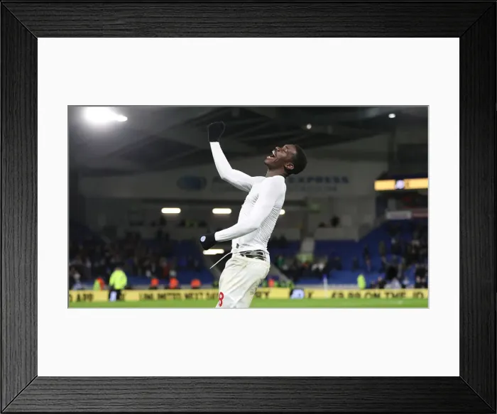 Framed Print : Brighton and Hove Albion vs. Crystal Palace: A Premier League Showdown at American Express Community Stadium (December 4, 2018) Framed Print : Brighton and Hove Albion vs. Crystal Palace: A Premier League Showdown at American Express Community Stadium (December 4, 2018)