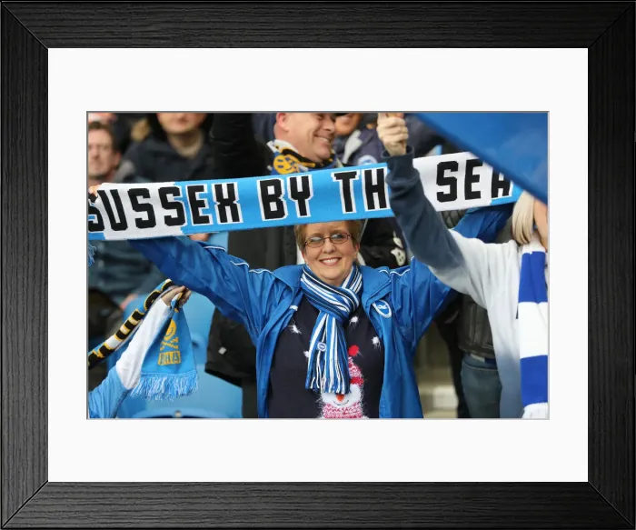Framed Print : Premier League Showdown: Brighton & Hove Albion vs. Chelsea (16DEC18) - American Express Community Stadium Framed Print : Premier League Showdown: Brighton & Hove Albion vs. Chelsea (16DEC18) - American Express Community Stadium