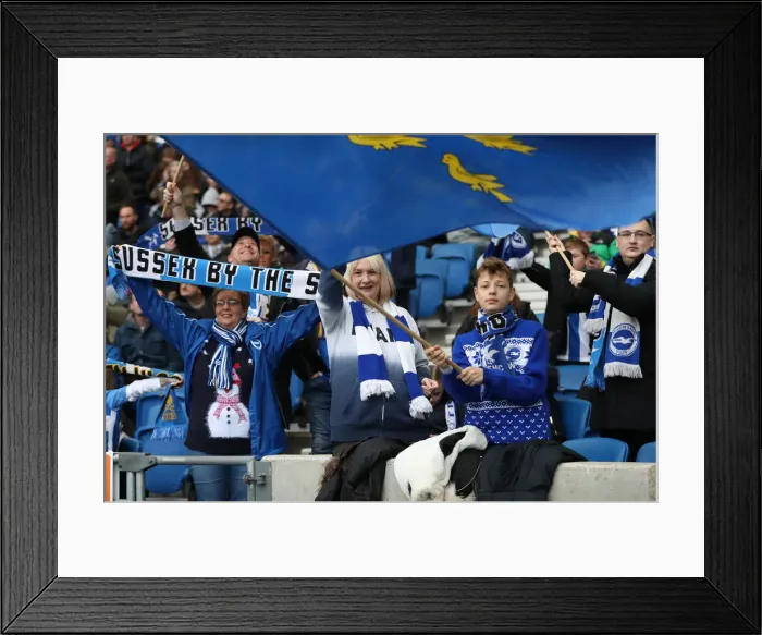 Framed Print : Premier League Showdown: Brighton & Hove Albion vs. Chelsea (16DEC18) - American Express Community Stadium