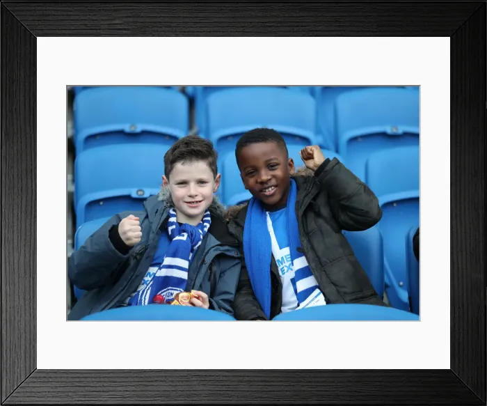 Framed Print : Brighton and Hove Albion vs. Everton: Premier League Battle at American Express Community Stadium (29DEC18)