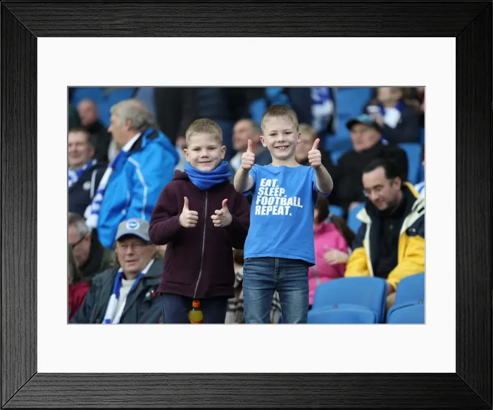 Framed Print : Brighton and Hove Albion vs. Everton: A Premier League Clash at American Express Community Stadium (29DEC18) Framed Print : Brighton and Hove Albion vs. Everton: A Premier League Clash at American Express Community Stadium (29DEC18)