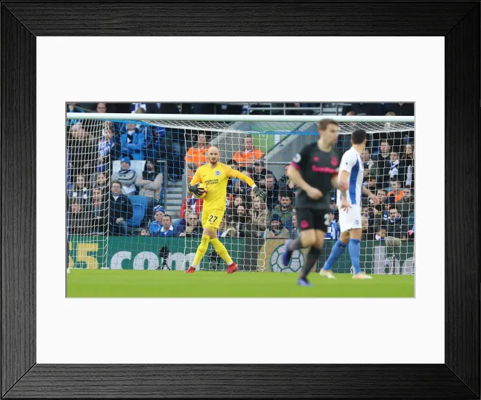 Framed Print : Premier League Showdown: Brighton & Hove Albion vs. Everton at American Express Community Stadium (29DEC18) Framed Print : Premier League Showdown: Brighton & Hove Albion vs. Everton at American Express Community Stadium (29DEC18)