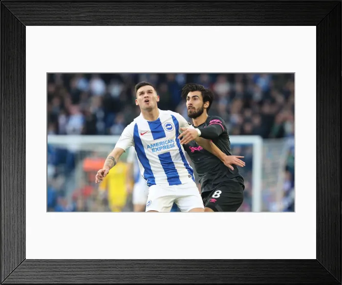 Framed Print : Premier League Showdown: Brighton & Hove Albion vs. Everton at American Express Community Stadium (29DEC18) Framed Print : Premier League Showdown: Brighton & Hove Albion vs. Everton at American Express Community Stadium (29DEC18)