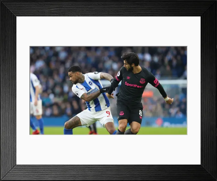 Framed Print : Brighton and Hove Albion vs. Everton: A Premier League Clash at American Express Community Stadium (29DEC18)