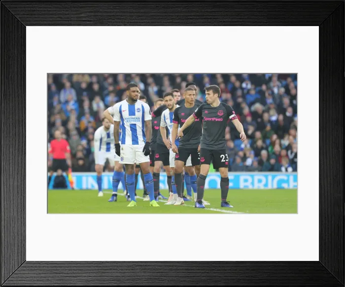 Framed Print : Brighton and Hove Albion vs. Everton: Premier League Battle at American Express Community Stadium (29DEC18) Framed Print : Brighton and Hove Albion vs. Everton: Premier League Battle at American Express Community Stadium (29DEC18)