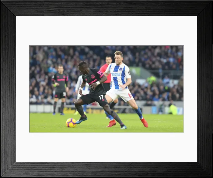 Framed Print : Premier League Showdown: Brighton & Hove Albion vs. Everton at American Express Community Stadium (29DEC18) Framed Print : Premier League Showdown: Brighton & Hove Albion vs. Everton at American Express Community Stadium (29DEC18)