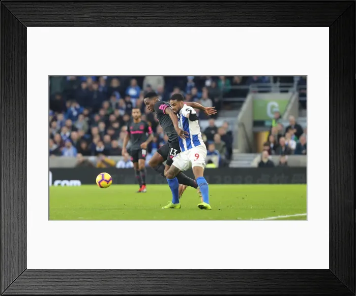 Framed Print : Brighton and Hove Albion vs Everton: Premier League Battle at American Express Community Stadium (29DEC18)