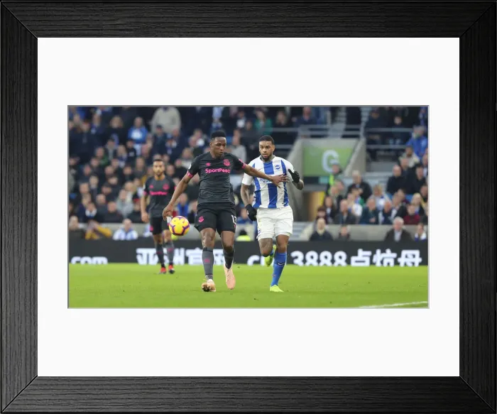 Framed Print : Brighton and Hove Albion vs. Everton: A Premier League Clash at American Express Community Stadium (29DEC18) Framed Print : Brighton and Hove Albion vs. Everton: A Premier League Clash at American Express Community Stadium (29DEC18)