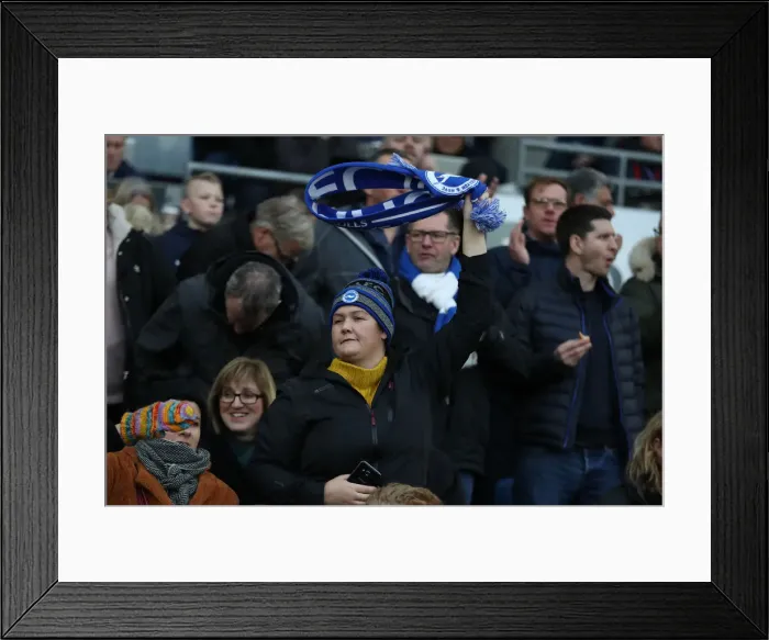 Framed Print : Brighton and Hove Albion vs. Everton: Premier League Showdown at American Express Community Stadium (29DEC18)