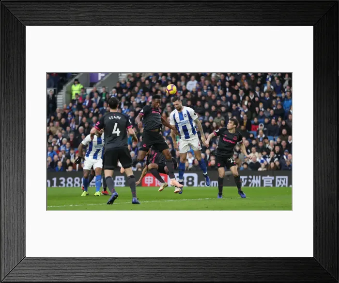 Framed Print : Premier League Showdown: Brighton & Hove Albion vs. Everton at American Express Community Stadium (29DEC18) Framed Print : Premier League Showdown: Brighton & Hove Albion vs. Everton at American Express Community Stadium (29DEC18)