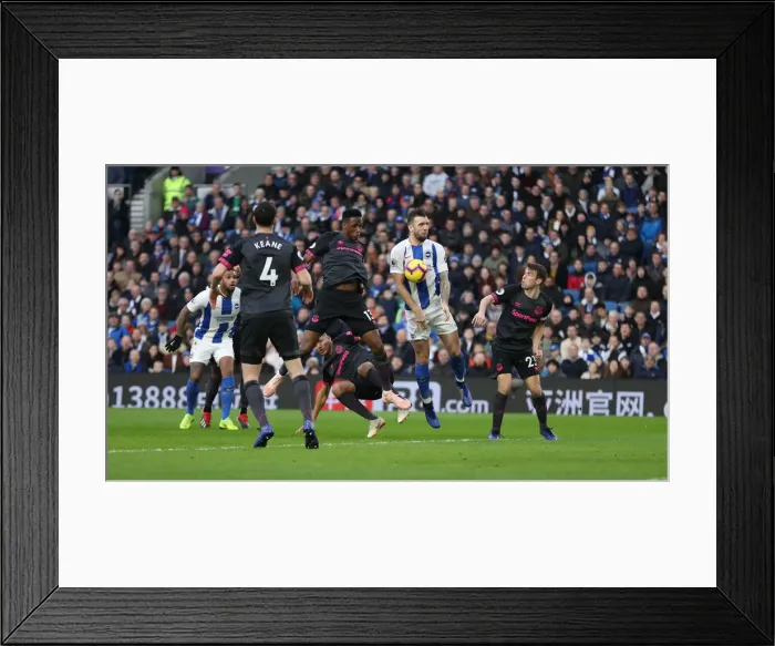 Framed Print : Brighton and Hove Albion vs. Everton: Premier League Battle at American Express Community Stadium (29DEC18) Framed Print : Brighton and Hove Albion vs. Everton: Premier League Battle at American Express Community Stadium (29DEC18)