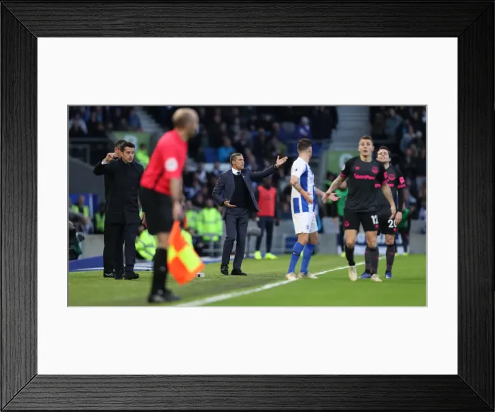 Framed Print : Premier League Showdown: Brighton & Hove Albion vs. Everton at American Express Community Stadium (29DEC18) Framed Print : Premier League Showdown: Brighton & Hove Albion vs. Everton at American Express Community Stadium (29DEC18)