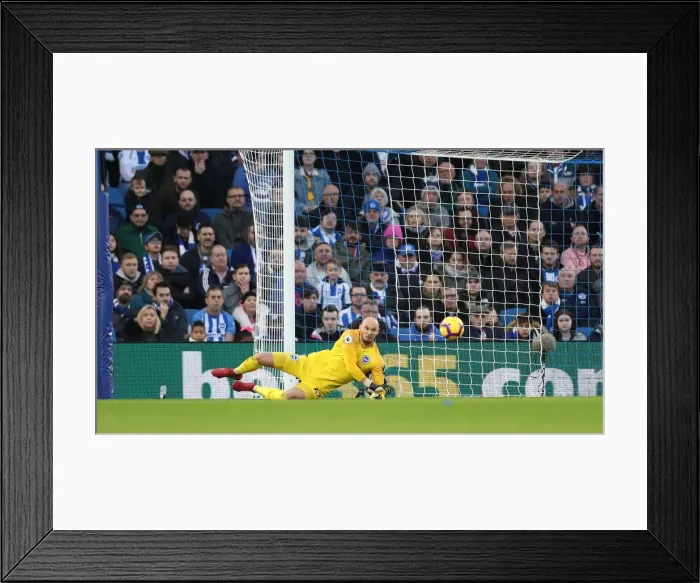 Framed Print : Premier League Showdown: Brighton & Hove Albion vs. Everton (29DEC18) - American Express Community Stadium Framed Print : Premier League Showdown: Brighton & Hove Albion vs. Everton (29DEC18) - American Express Community Stadium
