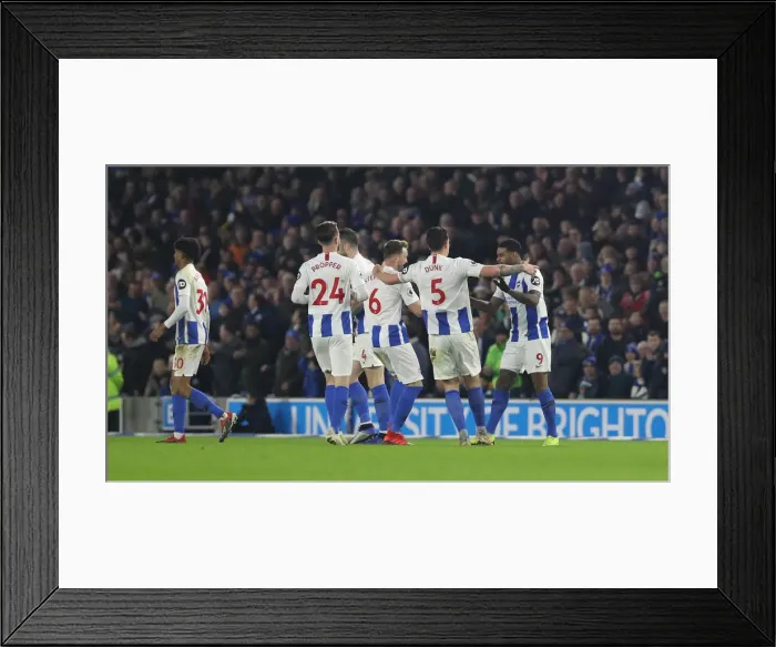 Framed Print : Premier League Showdown: Brighton & Hove Albion vs. Everton (29DEC18) - American Express Community Stadium Framed Print : Premier League Showdown: Brighton & Hove Albion vs. Everton (29DEC18) - American Express Community Stadium
