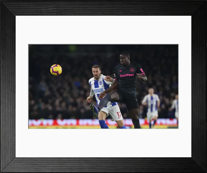 Framed Print : Premier League Showdown: Brighton & Hove Albion vs. Everton at American Express Community Stadium (29DEC18) Framed Print : Premier League Showdown: Brighton & Hove Albion vs. Everton at American Express Community Stadium (29DEC18)