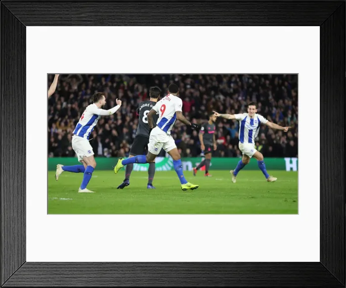 Framed Print : Premier League Showdown: Brighton & Hove Albion vs. Everton at American Express Community Stadium (29DEC18) Framed Print : Premier League Showdown: Brighton & Hove Albion vs. Everton at American Express Community Stadium (29DEC18)
