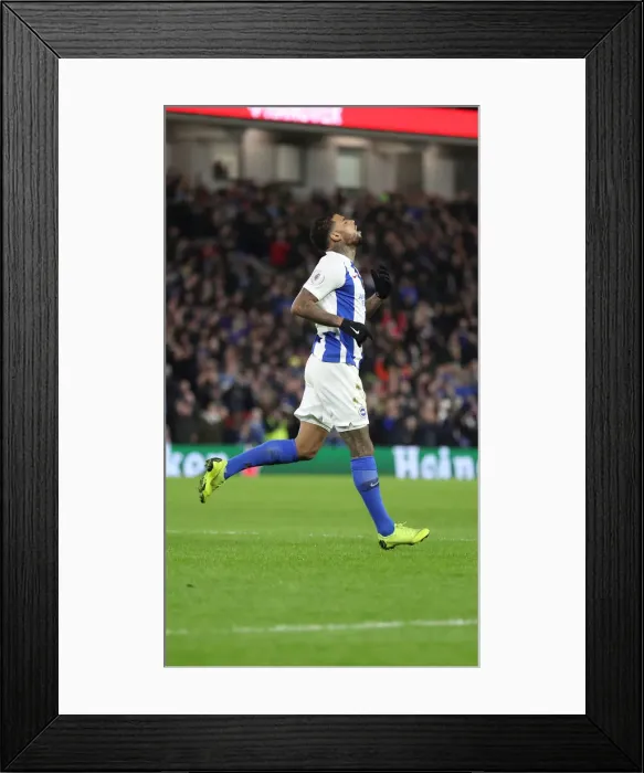 Framed Print : Brighton and Hove Albion vs. Everton: Premier League Showdown at American Express Community Stadium (29DEC18)