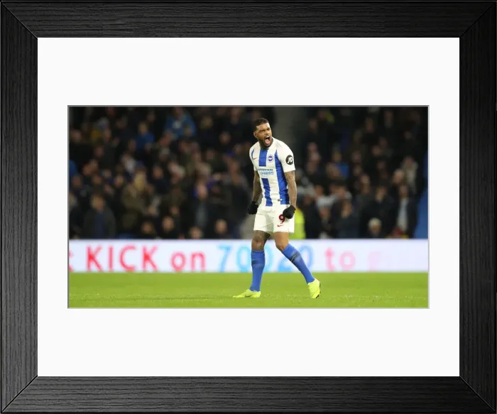 Framed Print : Premier League Showdown: Brighton & Hove Albion vs. Everton at American Express Community Stadium (29DEC18) Framed Print : Premier League Showdown: Brighton & Hove Albion vs. Everton at American Express Community Stadium (29DEC18)