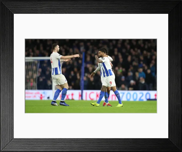 Framed Print : Premier League Showdown: Brighton & Hove Albion vs. Everton (29DEC18) - American Express Community Stadium Framed Print : Premier League Showdown: Brighton & Hove Albion vs. Everton (29DEC18) - American Express Community Stadium