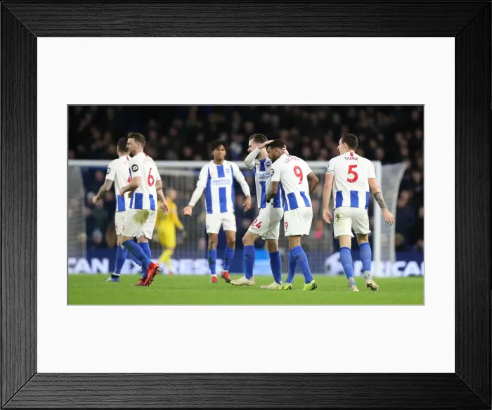 Framed Print : Premier League Showdown: Brighton & Hove Albion vs. Everton at American Express Community Stadium (29DEC18) Framed Print : Premier League Showdown: Brighton & Hove Albion vs. Everton at American Express Community Stadium (29DEC18)