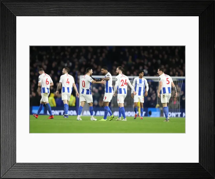 Framed Print : Premier League Showdown: Brighton & Hove Albion vs. Everton at American Express Community Stadium (29DEC18) Framed Print : Premier League Showdown: Brighton & Hove Albion vs. Everton at American Express Community Stadium (29DEC18)