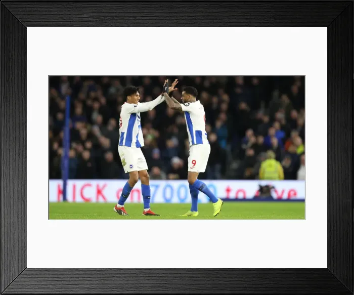 Framed Print : Brighton and Hove Albion vs. Everton: Premier League Battle at American Express Community Stadium (29DEC18)