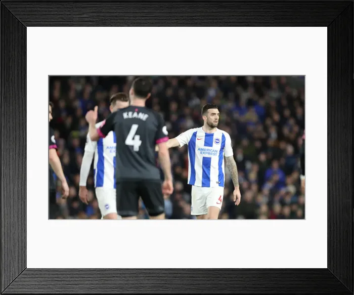 Framed Print : Brighton and Hove Albion vs. Everton: A Premier League Clash at American Express Community Stadium (29DEC18) Framed Print : Brighton and Hove Albion vs. Everton: A Premier League Clash at American Express Community Stadium (29DEC18)