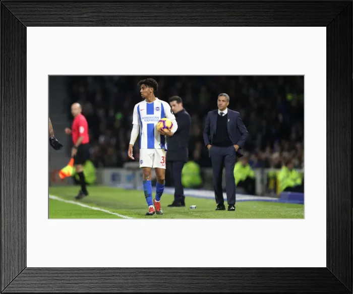 Framed Print : Brighton and Hove Albion vs. Everton: Premier League Battle at American Express Community Stadium (29DEC18) Framed Print : Brighton and Hove Albion vs. Everton: Premier League Battle at American Express Community Stadium (29DEC18)