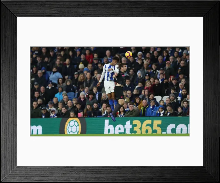 Framed Print : Brighton and Hove Albion vs. Everton: Premier League Showdown at American Express Community Stadium (29DEC18) Framed Print : Brighton and Hove Albion vs. Everton: Premier League Showdown at American Express Community Stadium (29DEC18)