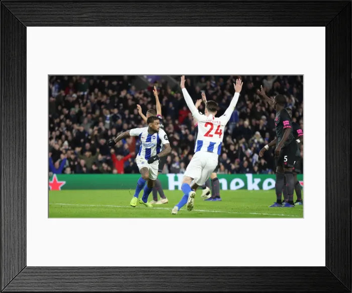 Framed Print : Premier League Showdown: Brighton & Hove Albion vs. Everton at American Express Community Stadium (29DEC18) Framed Print : Premier League Showdown: Brighton & Hove Albion vs. Everton at American Express Community Stadium (29DEC18)