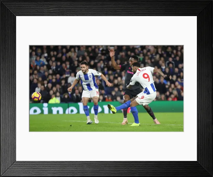 Framed Print : Premier League Showdown: Brighton & Hove Albion vs. Everton at American Express Community Stadium (29DEC18) Framed Print : Premier League Showdown: Brighton & Hove Albion vs. Everton at American Express Community Stadium (29DEC18)