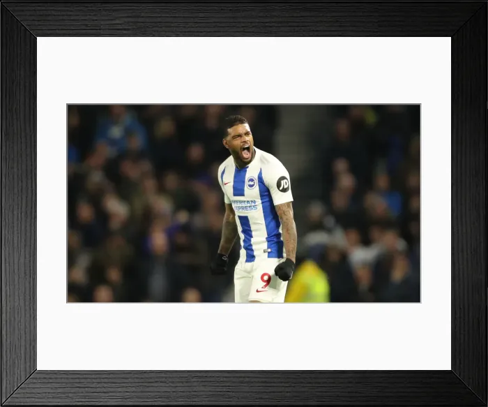 Framed Print : Premier League Showdown: Brighton & Hove Albion vs. Everton (29DEC18) - American Express Community Stadium Framed Print : Premier League Showdown: Brighton & Hove Albion vs. Everton (29DEC18) - American Express Community Stadium