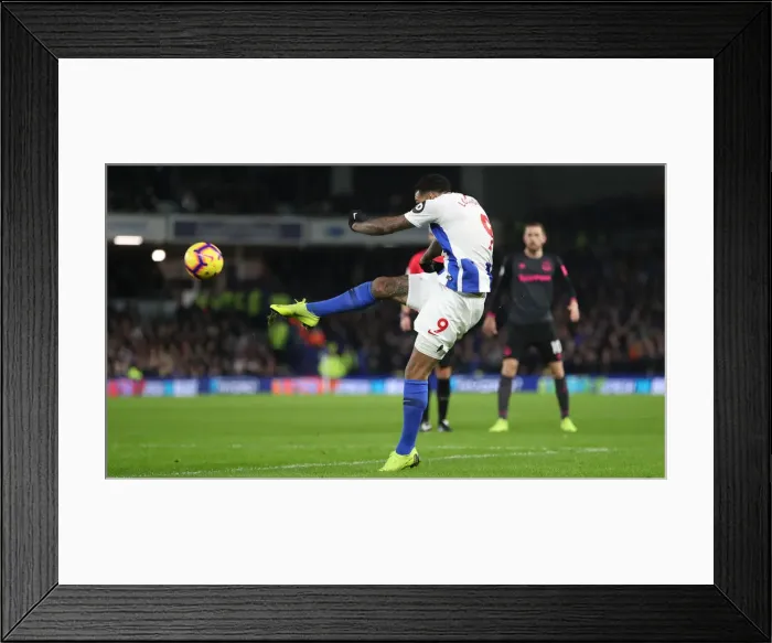 Framed Print : Brighton and Hove Albion vs. Everton: Premier League Battle at American Express Community Stadium (29DEC18)