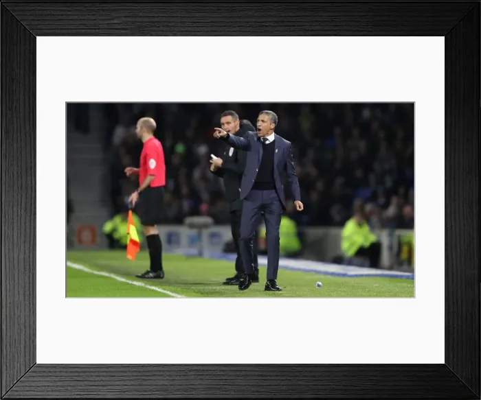 Framed Print : Brighton and Hove Albion vs. Everton: Premier League Battle at American Express Community Stadium (29DEC18)