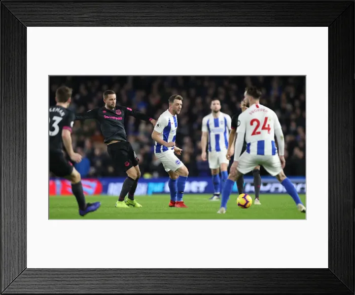 Framed Print : Brighton and Hove Albion vs. Everton: Premier League Battle at American Express Community Stadium (29DEC18)