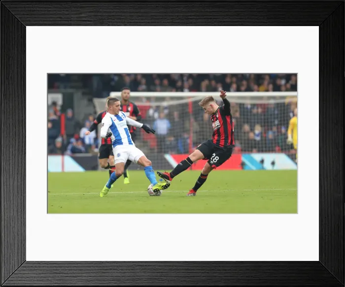 Framed Print : FA Cup Third Round: AFC Bournemouth vs. Brighton and Hove Albion, 5th January 2019 - Intense Match Action at Vitality Stadium Framed Print : FA Cup Third Round: AFC Bournemouth vs. Brighton and Hove Albion, 5th January 2019 - Intense Match Action at Vitality Stadium
